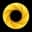 Try Nano Banana