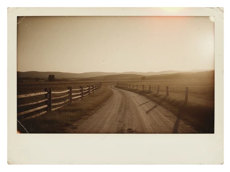 Vintage Polaroid AI Filter
